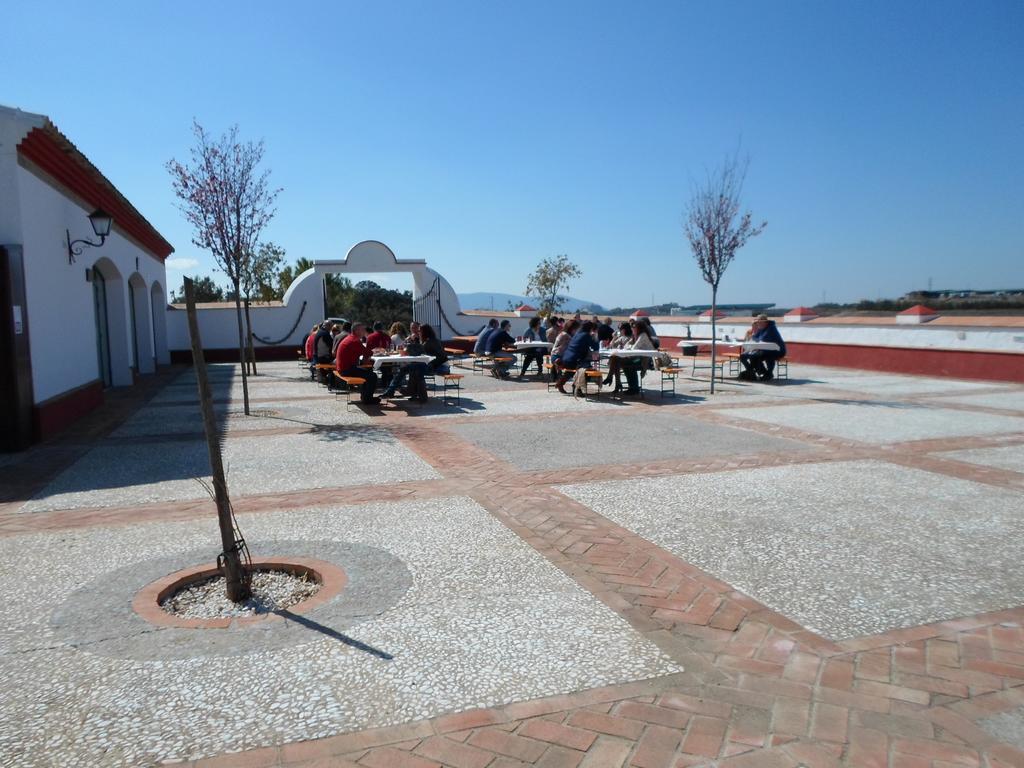 Complejo Pueblo Blanco Hotel Olvera Bagian luar foto