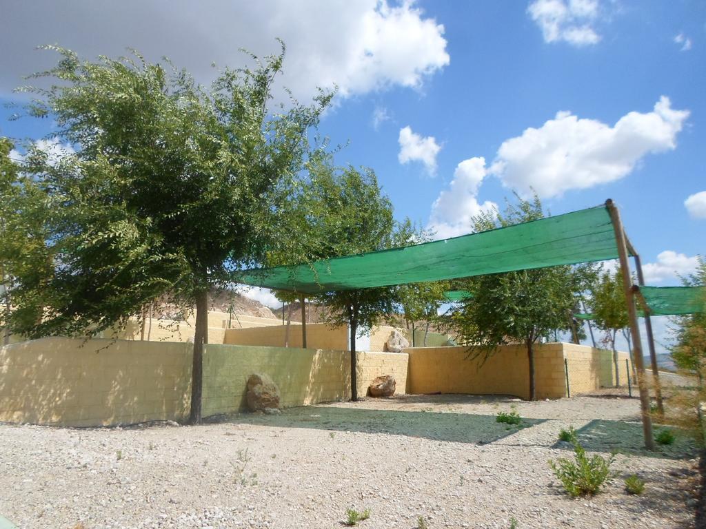 Complejo Pueblo Blanco Hotel Olvera Bagian luar foto