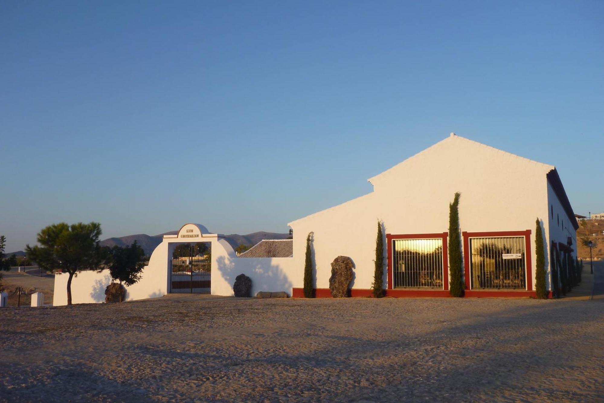 Complejo Pueblo Blanco Hotel Olvera Bagian luar foto