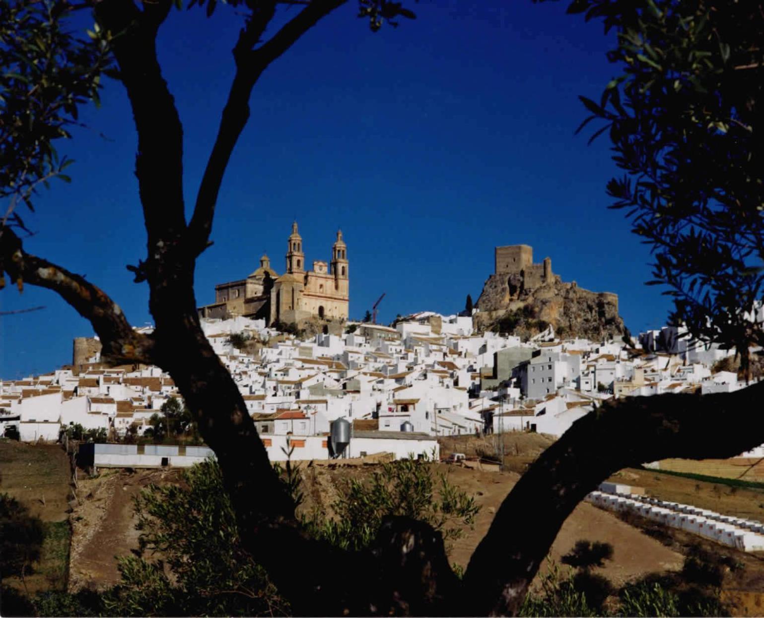 Complejo Pueblo Blanco Hotel Olvera Bagian luar foto