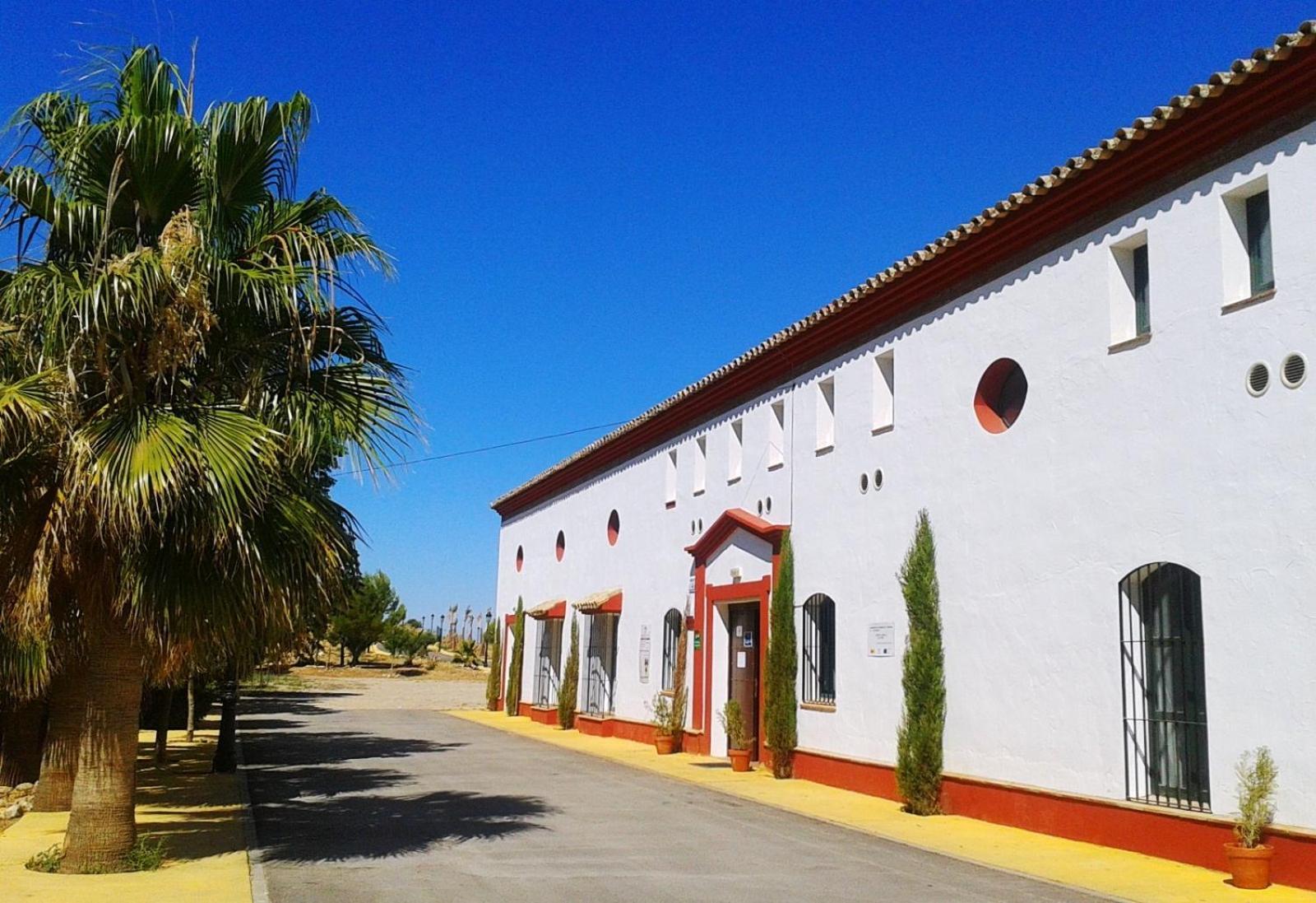 Complejo Pueblo Blanco Hotel Olvera Bagian luar foto